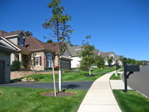 Suburban Homes